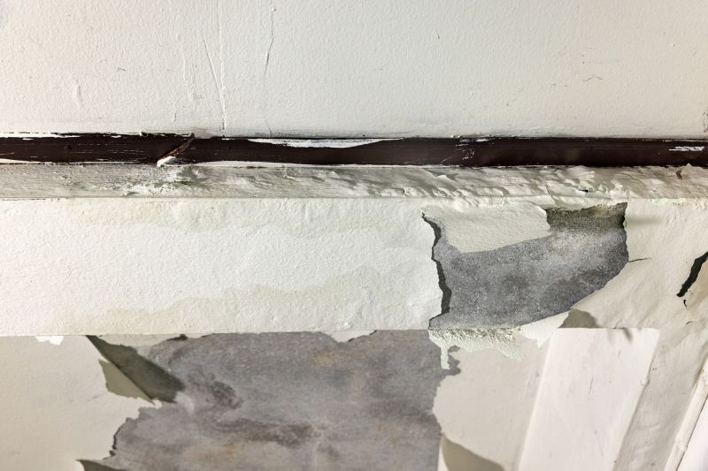 Ceiling Leak Repair Service