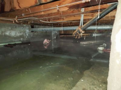 Crawl Space Remediation