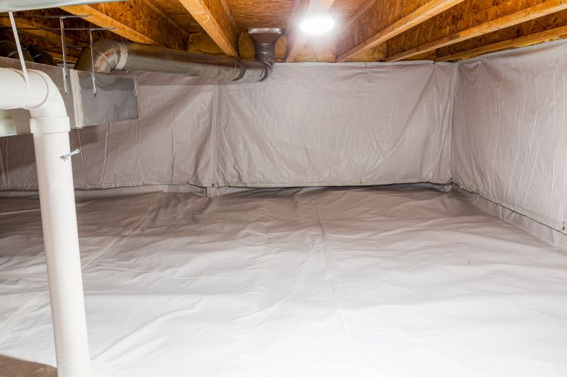 Crawl Space Remediation