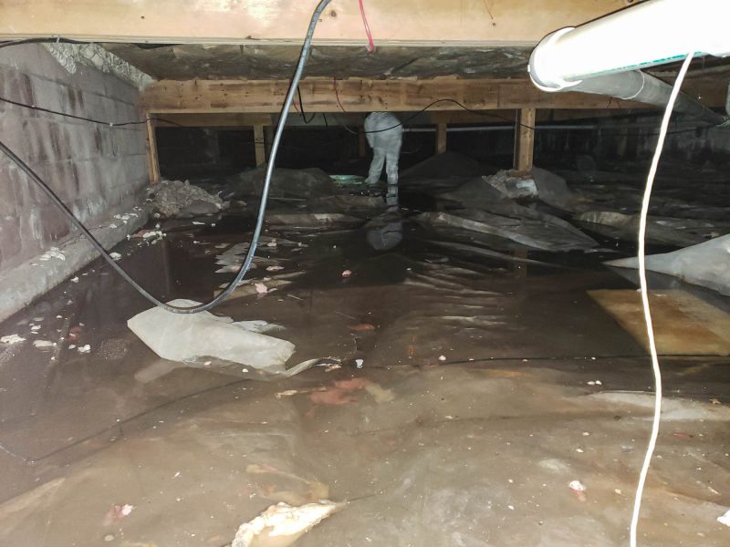 Crawl Space Remediation