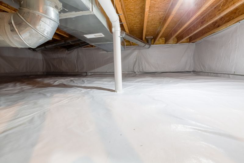 Crawl Space Remediation