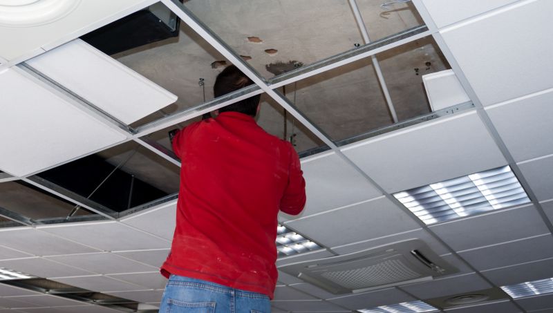 Suspended Ceiling Removal