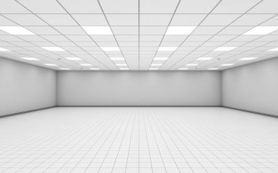 Suspended Ceiling Removal