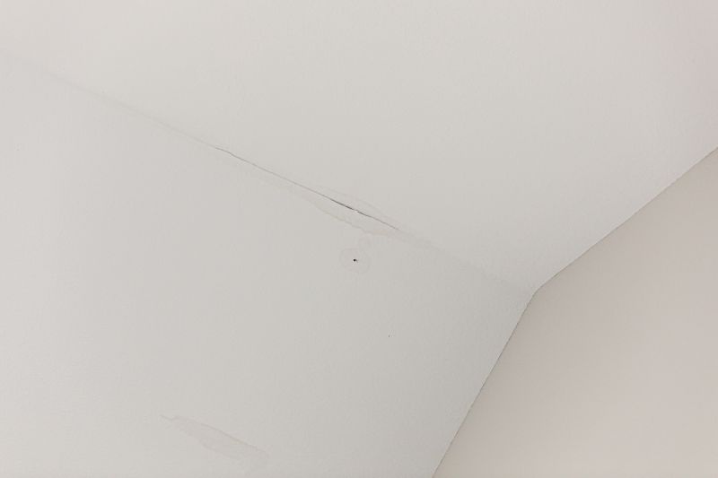 Water Damage Ceiling Repair