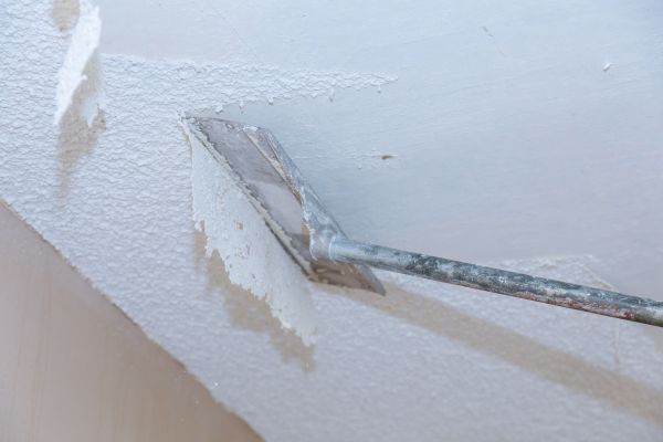 Ceiling Removal Service in Bainbridge Island