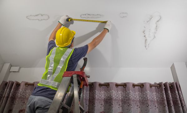 Ceiling Water Leak Repair in Bainbridge Island