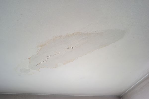 Bedroom Water Damage Repair in Bainbridge Island