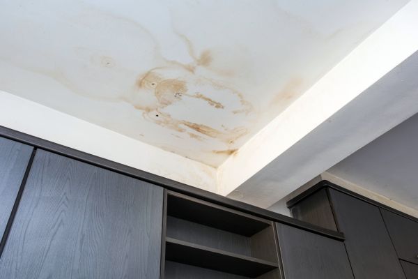 Ceiling Leak Repair Service in Bainbridge Island
