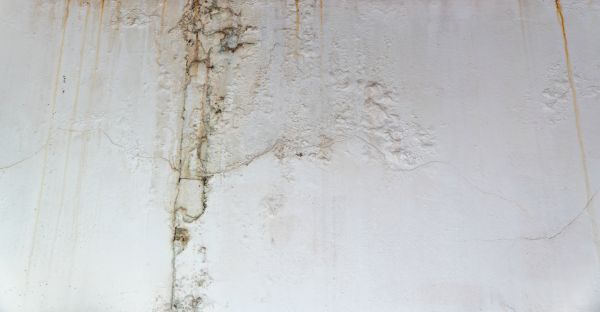 Attic Leak Repair in Bainbridge Island