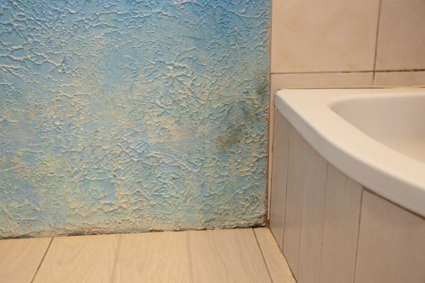 Bathroom Water Damage Repair in Bainbridge Island